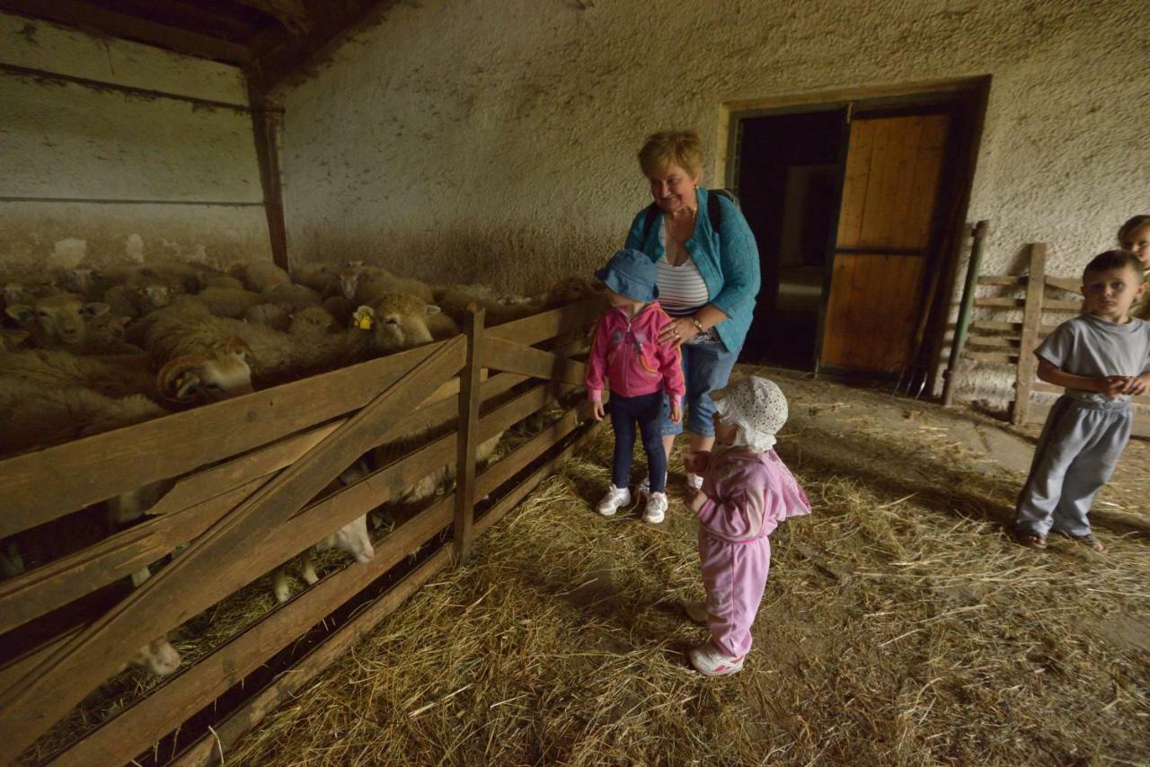 Bio Farma & Penzion Zlaty Hyl Novacany Exterior foto