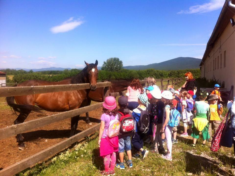 Bio Farma & Penzion Zlaty Hyl Novacany Exterior foto