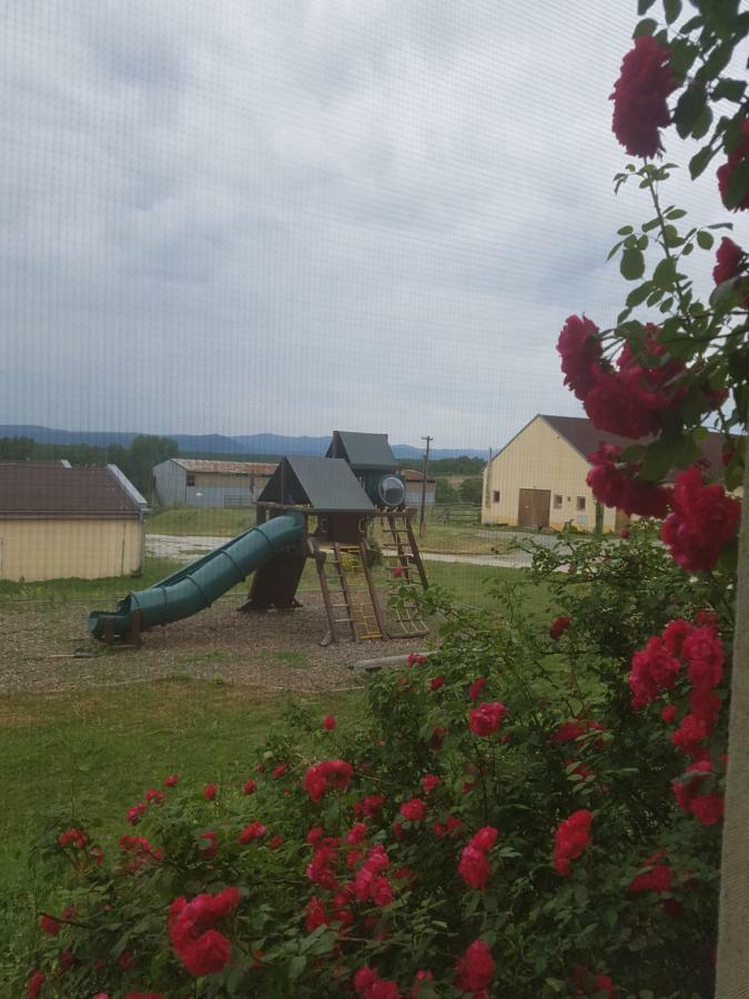 Bio Farma & Penzion Zlaty Hyl Novacany Exterior foto